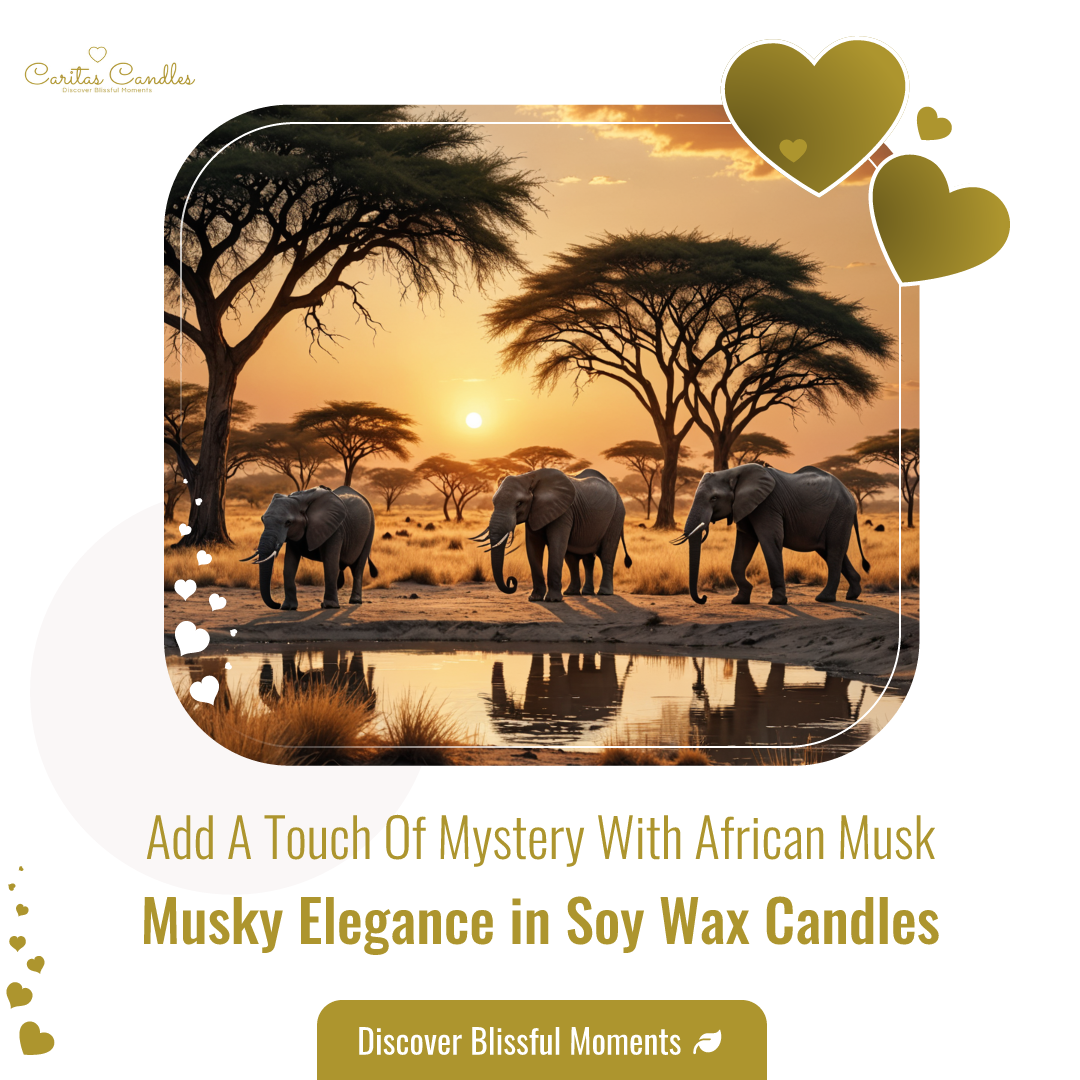 African Musk Luxury Wax Melts - Box of 6